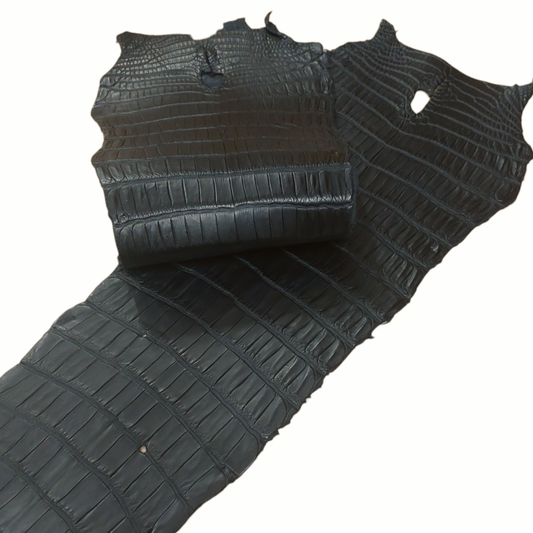 Porosus Crocodile Tail Black Colour, Matte Finish