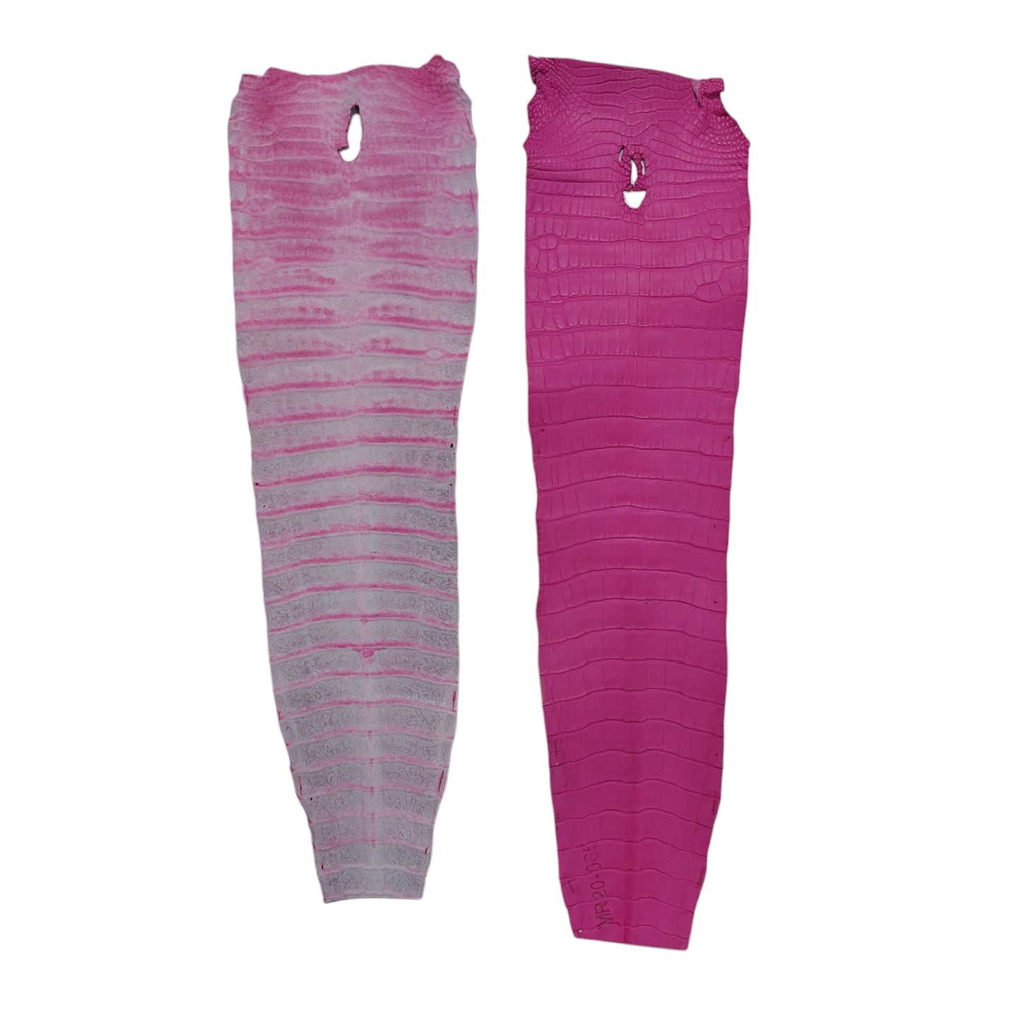 American Alligator Tail Pink Colour, Matte Finish