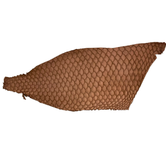 Tilapia Fish Leather, Brown Matte