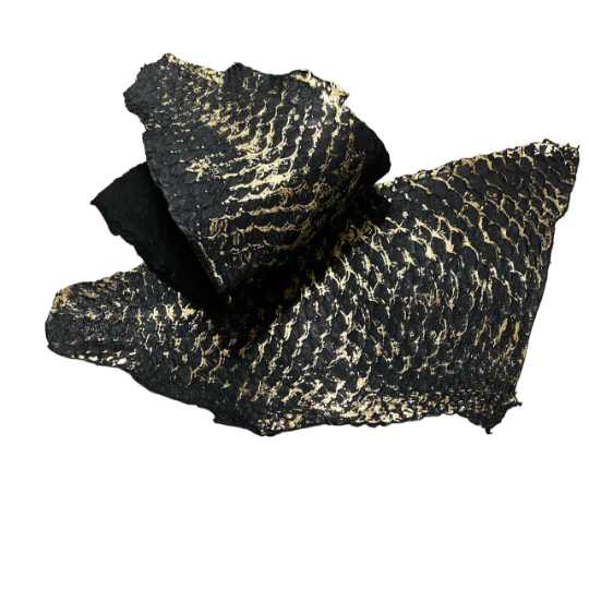 Black with Gold Metallic Tilapia Fish Leather