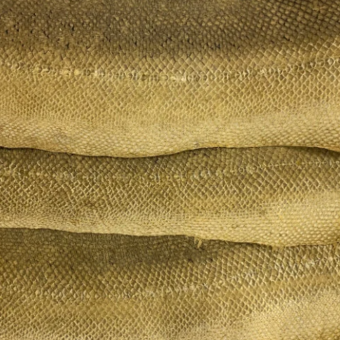 Salmon Fish Leather Yellow Natural Pattern