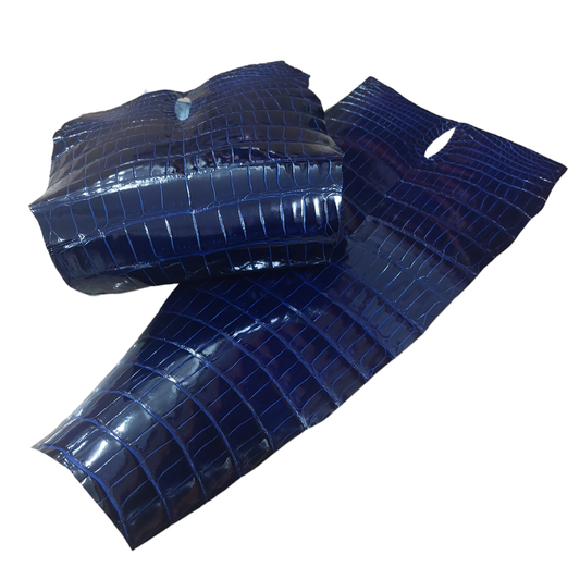 Porosus Crocodile Tail Blue Colour, Glazed Finish