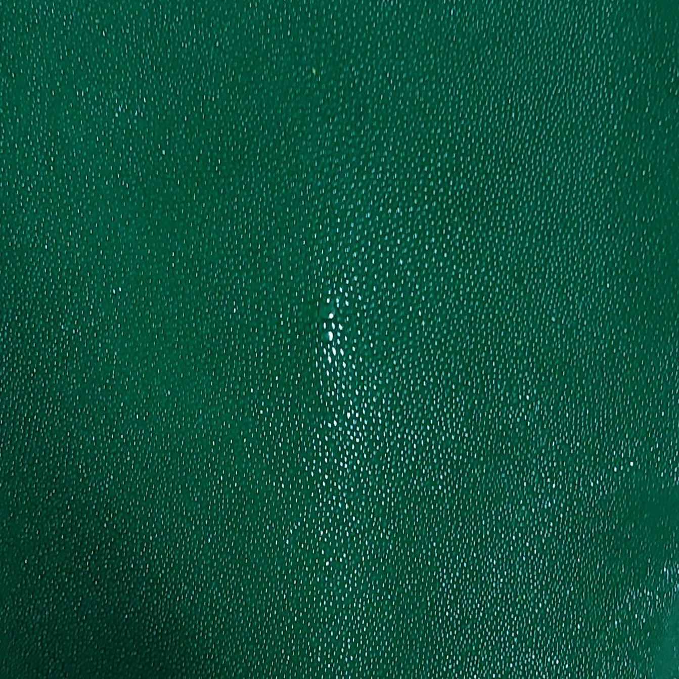 Green Caviar Stingray Leather