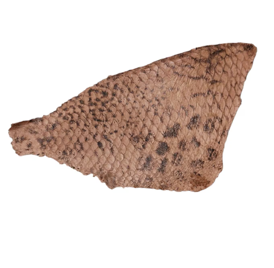 Natural Pattern Tilapia Fish Leather, Matte