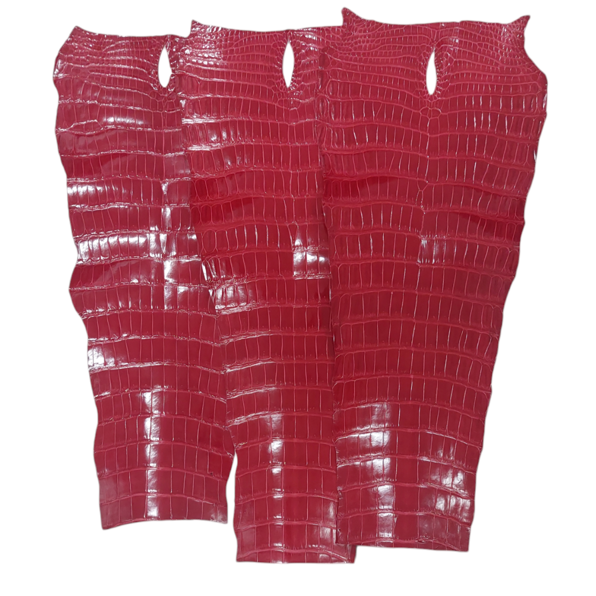 Porosus Crocodile Tail Red Colour, Glazed Finish