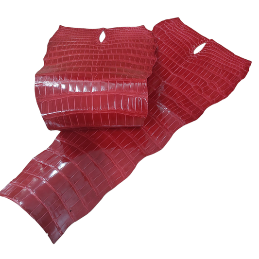 Porosus Crocodile Tail Red Colour, Glazed Finish