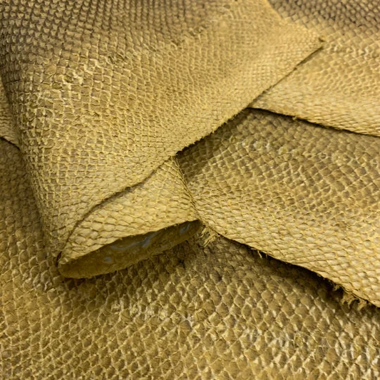 Salmon Fish Leather Yellow Natural Pattern