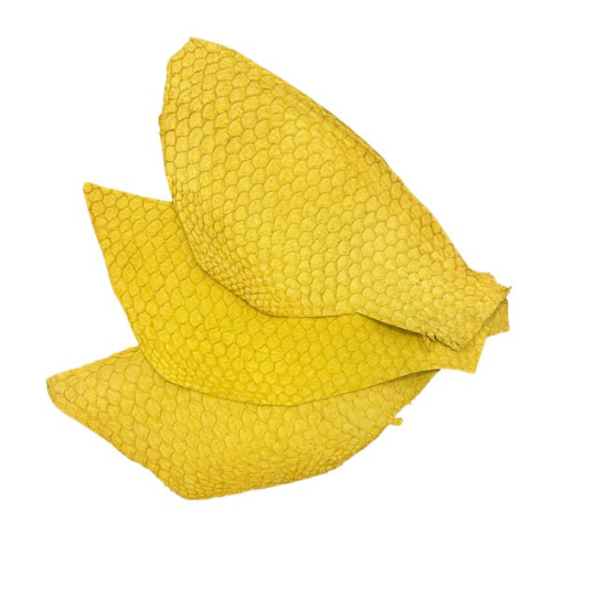 Tilapia Fish Leather Yellow