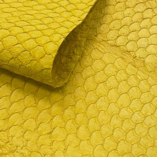 Tilapia Fish Leather Yellow